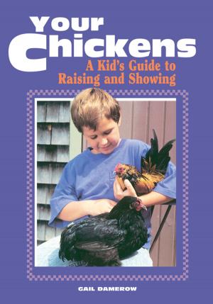 bigCover of the book Your Chickens by 