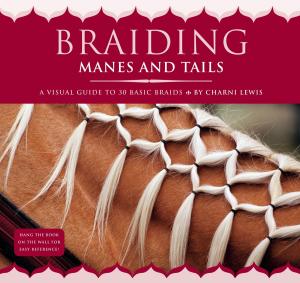 Cover of the book Braiding Manes and Tails by Byron E. Martin, Laurelynn G. Martin
