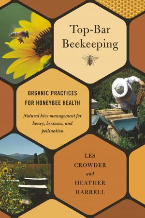 Cover of the book Top-Bar Beekeeping by David Holmgren
