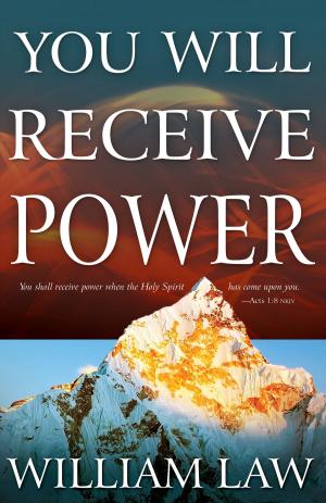 Cover of the book You Will Receive Power by Guillermo Maldonado
