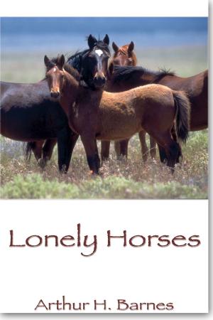 Book cover of Lonely Horses