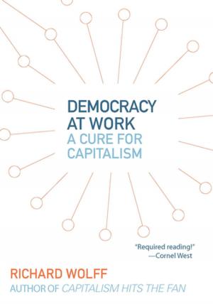 Cover of the book Democracy at Work by James Connolly, Mike Davis