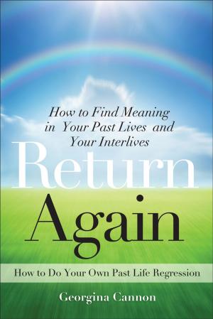 Cover of the book Return Again by Shai Tubali