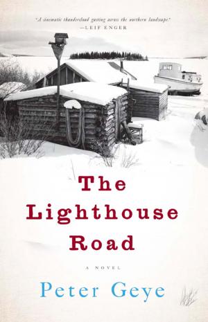 Cover of the book The Lighthouse Road by David Bajo