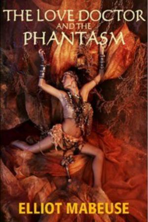Cover of the book The Love Doctor and the Phantasm by Patient Lee