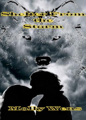 Cover of the book Shelter From the Storm by Vivian Vincent