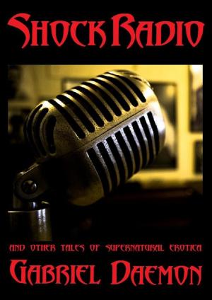 Book cover of Shock Radio