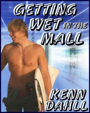 Cover of the book Getting Wet In the Mall by D.B. Story