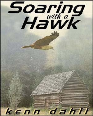 Book cover of Soaring With A Hawk