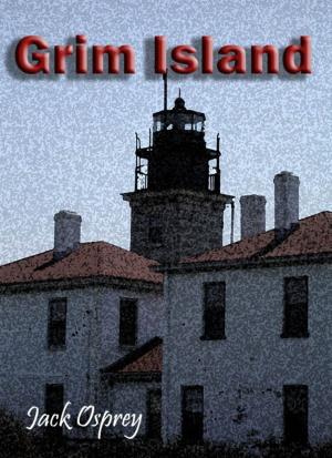 Cover of the book Grim Island by Ginger Segreti