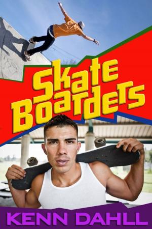 Book cover of Skateboarders