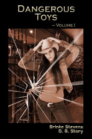 Cover of the book Dangerous Toys Volume 1 by Selena Kitt