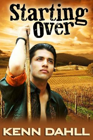 Cover of the book Starting Over by D.B. Story