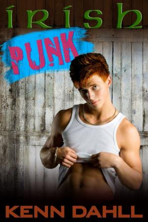 Cover of the book Irish Punk by Candace Blevins