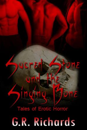 Cover of the book Sacred Stone and the Singing Bone by Jocelyn Bringas