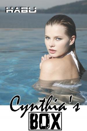 Cover of the book Cynthia's Box by Delores Swallows