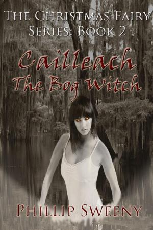 Book cover of Cailleach—The Bog Witch