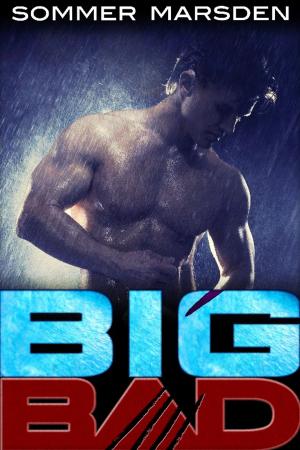 Cover of the book Big Bad by Patient Lee