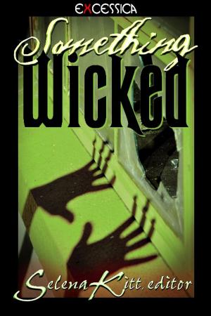 Cover of the book Something Wicked by Candace Blevins