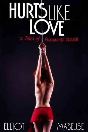 Cover of the book Hurts Like Love by Sabrina Stelle