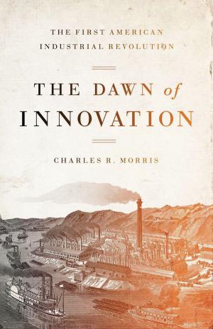 Book cover of The Dawn of Innovation