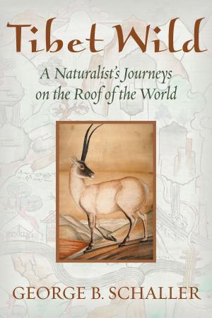 Cover of the book Tibet Wild by David A. Bainbridge