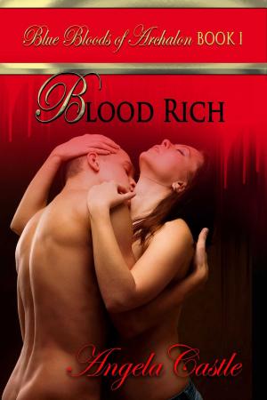 Cover of the book Blood Rich by C.A. Salo