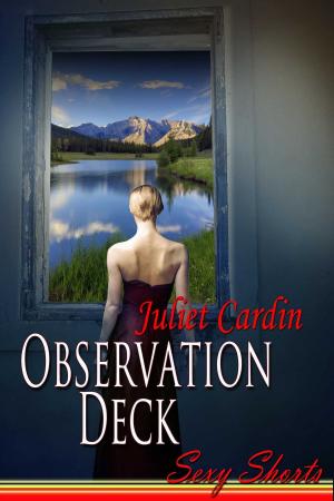 Cover of the book Observation Deck by Camryn Cutler