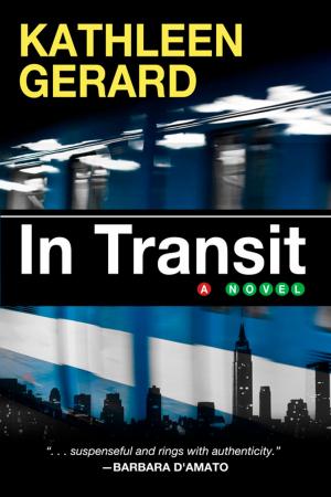 Cover of the book In Transit by Sandy Parks