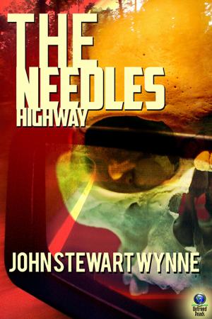 Book cover of The Needles Highway