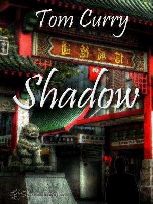 Cover of the book Shadow by Ray Cummings