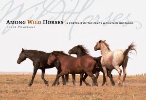 Cover of the book Among Wild Horses by Alice McGowan, Brian McGowan