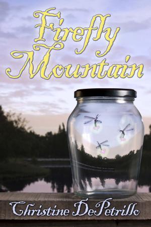 Book cover of Firefly Mountain
