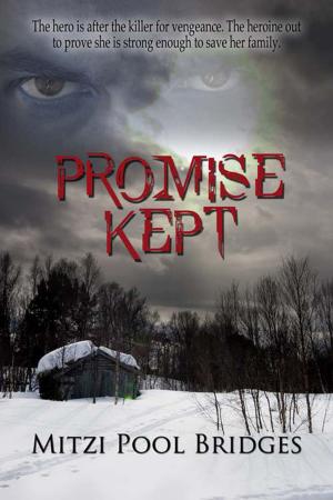 Cover of the book Promise Kept by Maureen L. Bonatch