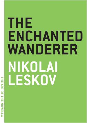 Cover of the book The Enchanted Wanderer by Jakob Arjouni