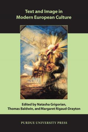 Cover of the book Text and Image in Modern European Culture by Christoph Mick
