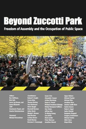 Cover of Beyond Zuccotti Park