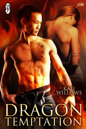 Book cover of Dragon Temptation