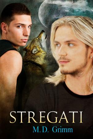 Cover of the book Stregati by KC Burn