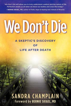 Cover of the book We Don't Die by Robert W. Bly