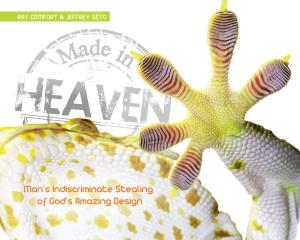 Cover of the book Made in Heaven by Steve Ham