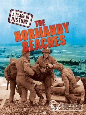 Book cover of The Normandy Beaches