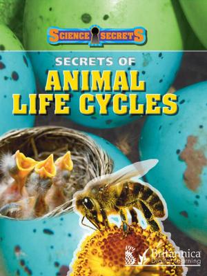Cover of the book Secrets of Animal Life Cycles by Dr. Jean Feldman and Dr. Holly Karapetkova