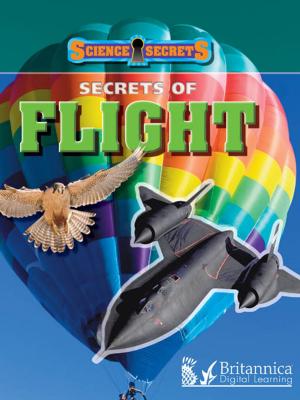 Cover of the book Secrets of Flight by Ewan Mcleish