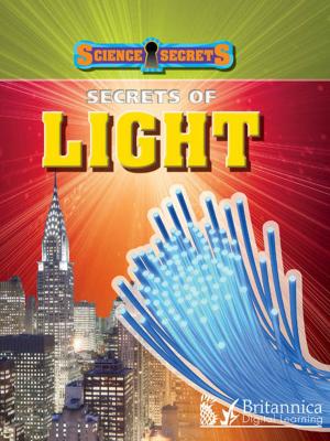 Book cover of Secrets of Light