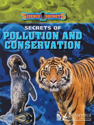 Cover of the book Secrets of Pollution and Conservation by Luana Mitten and Meg Greve