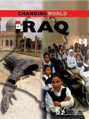 Cover of the book Iraq by Sean Sheehan