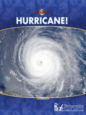 Cover of the book Hurricane! by Cindy Rodriguez