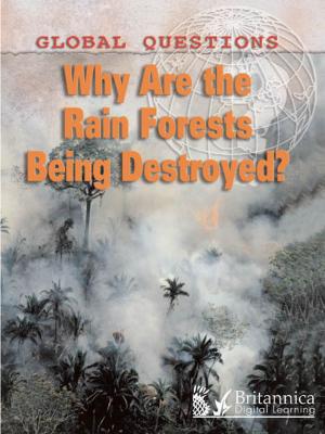 Cover of the book Why Are the Rain Forests Being Destroyed? by Savina Collins