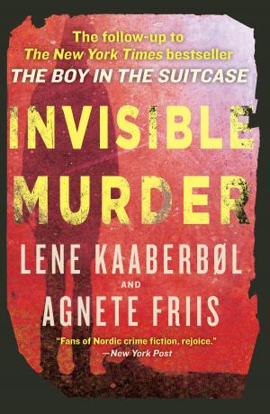 Cover of the book Invisible Murder by Helene Tursten